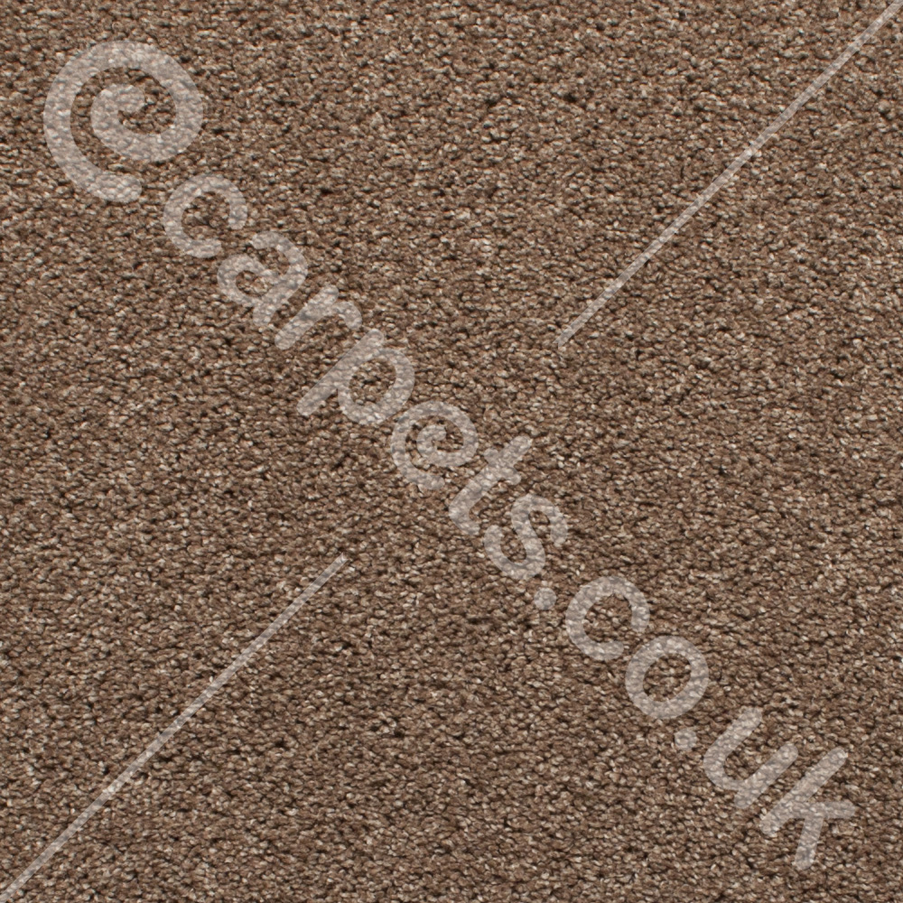 34 Dull Gold Ecarpets save £££s on 34 Dull Gold today!